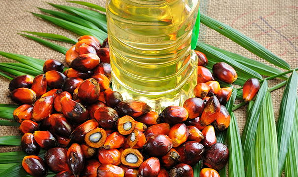 Olio di palma, qualche precisazione in più article-post