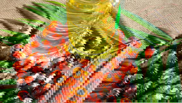 Olio di palma, qualche precisazione in più