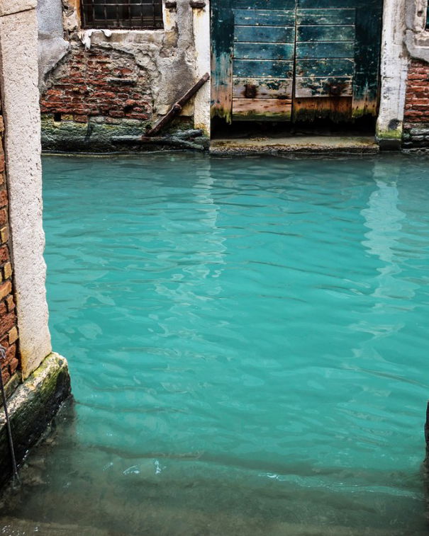 Squalo a Venezia? article-post