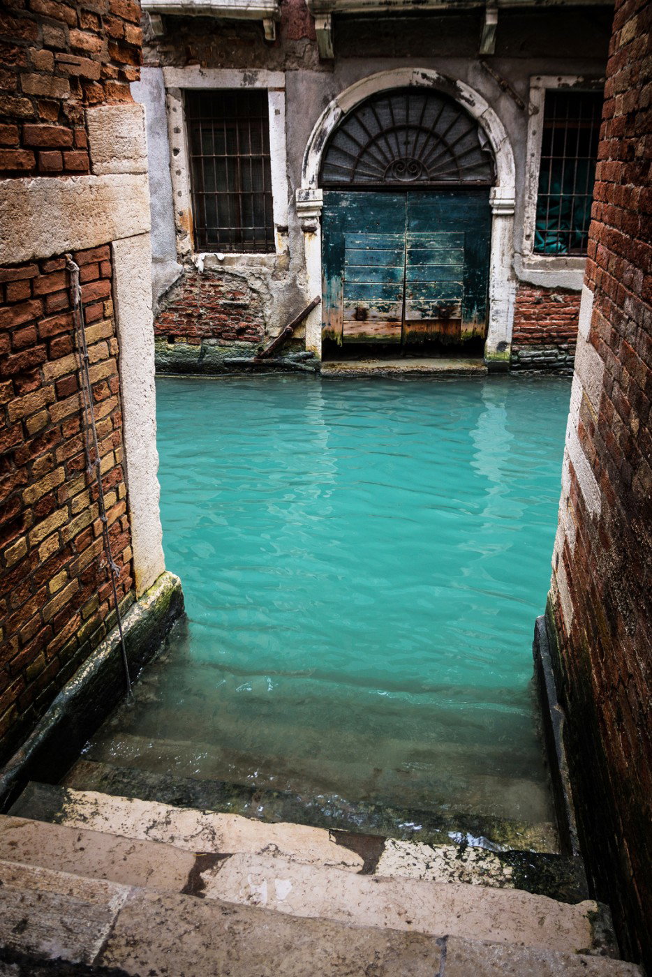 Squalo a Venezia? article-post