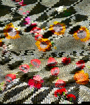 Susanna Ceccardi e la canzone “Imagine” di John Lennon