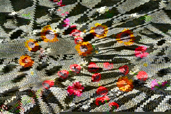 Susanna Ceccardi e la canzone “Imagine” di John Lennon