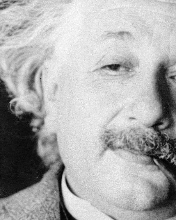 La razza “umana” di Einstein article-post