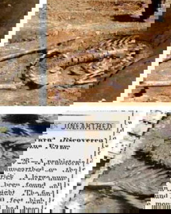 La Terra di Mezzo e le panzane