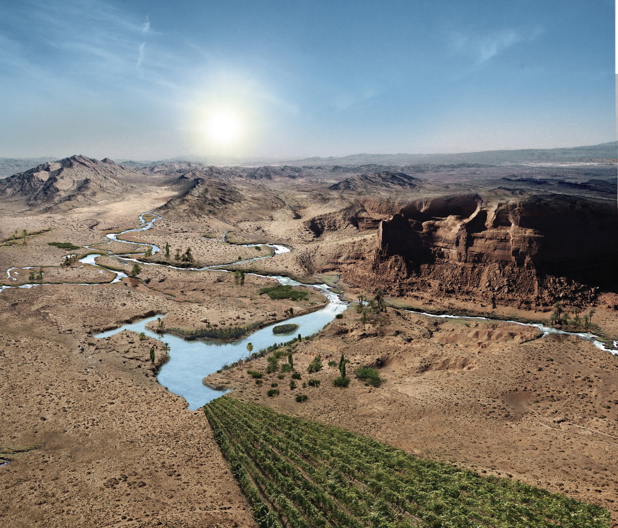 L’acqua tra Israele e Palestina article-post