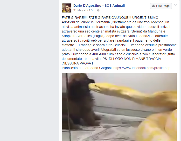 Il cagnolino ucciso dal pitone in Germania article-post