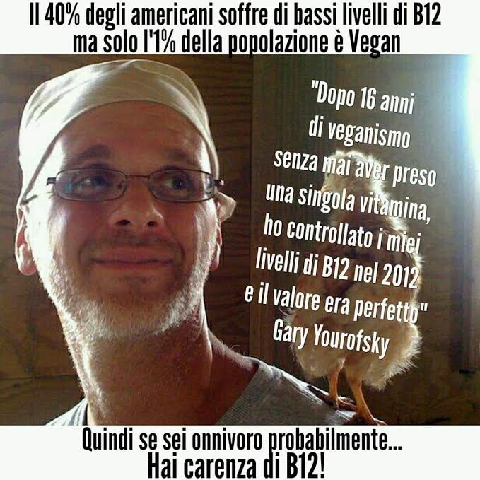 La carenza di B12 negli Stati Uniti article-post