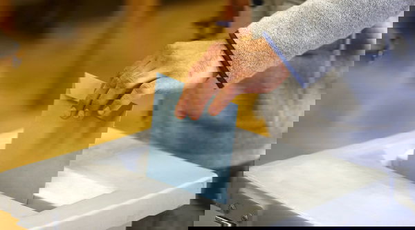 I “brogli” in Austria Volume 2