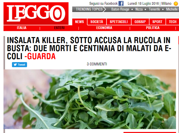 Rucola all’Escherichia coli