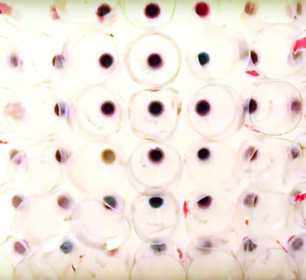 Aria condizionata gratis? O la solita montatura pseudogiornalistica? article-post