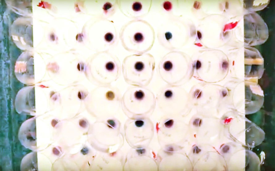 Eco-Cooler-Plastic-Bottle-Air-Conditioner-4-889x555