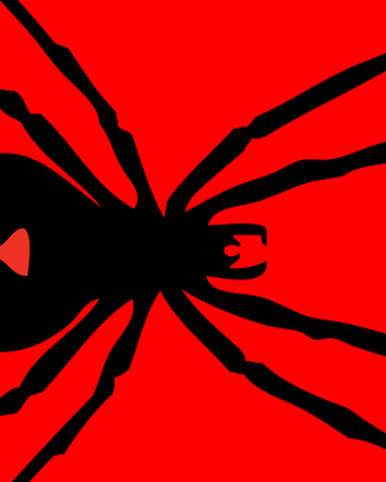 La vedova nera dalla Russia