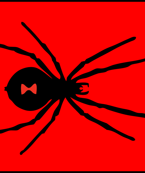 La vedova nera dalla Russia article-post