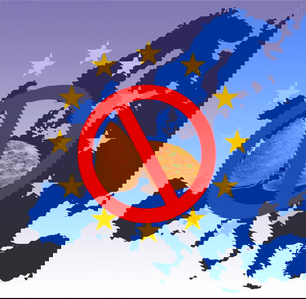 L’Europa contro l’arancino