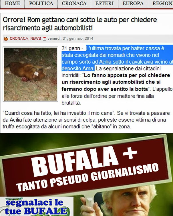 Rom gettano cani sotto alle auto? article-post