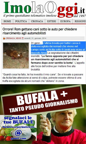 Rom gettano cani sotto alle auto? article-post