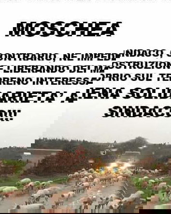 Dagli a quello straniero… tanto è nero!