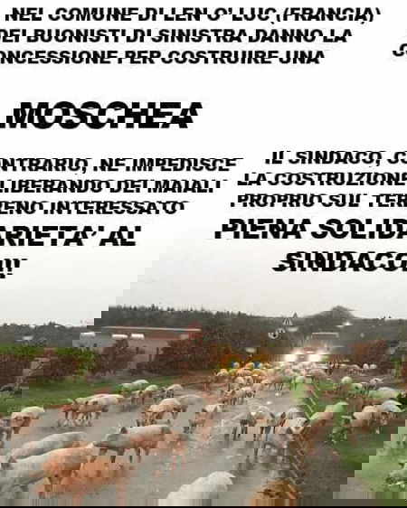 Dagli a quello straniero… tanto è nero! article-post