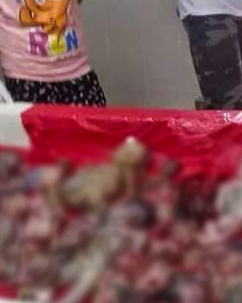 Feti morti venduti come fossero pesce al mercato