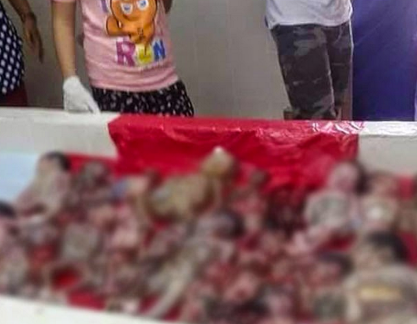 Feti morti venduti come fossero pesce al mercato article-post