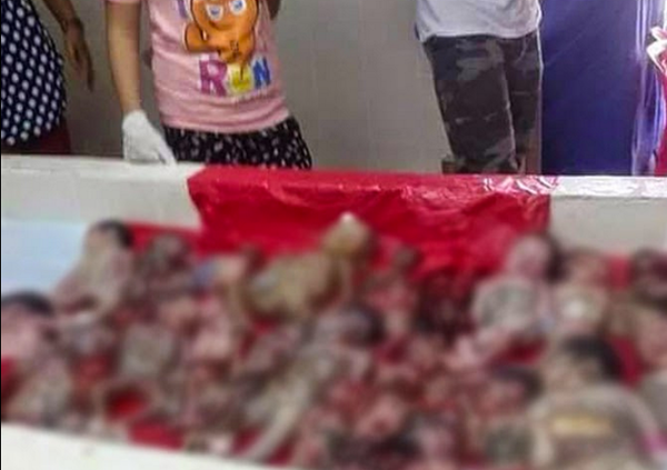 Feti morti venduti come fossero pesce al mercato