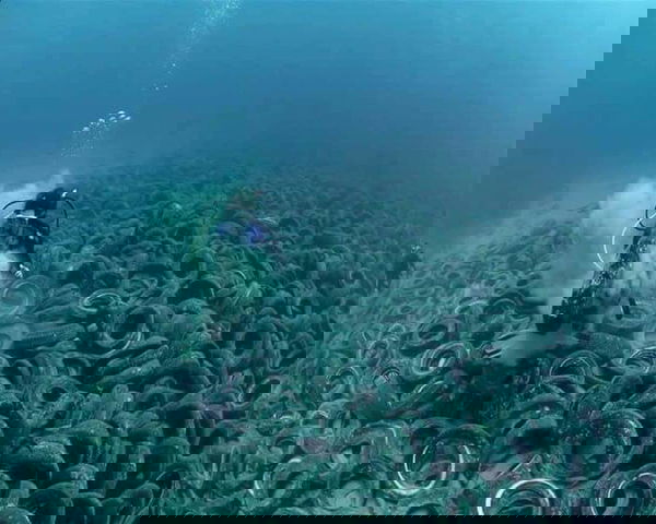 I fondali italiani e gli pneumatici