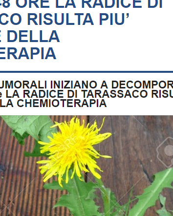 Le proprietà antitumorali del tarassaco