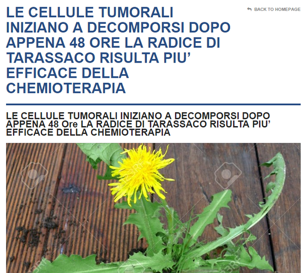 Le proprietà antitumorali del tarassaco