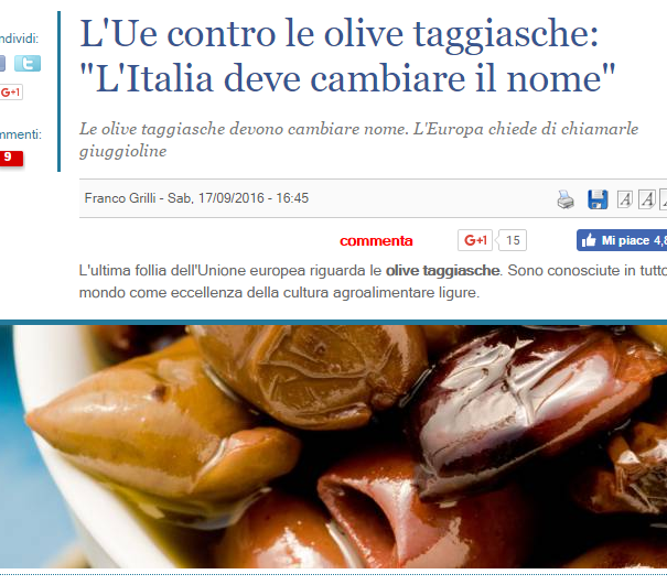 Taggiasca vs Giuggiolina article-post