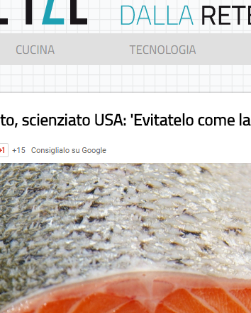 Il salmone d’allevamento