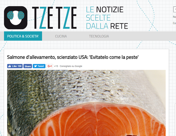Il salmone d’allevamento