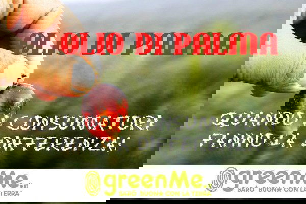 La chimica assolve l’olio di palma article-post