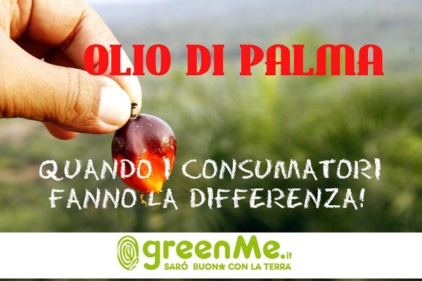 La chimica assolve l’olio di palma article-post