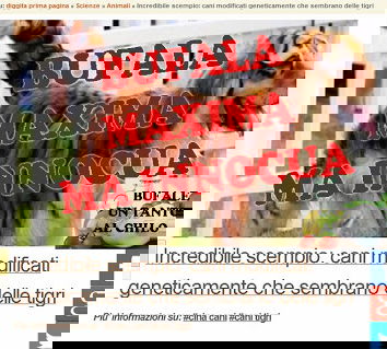 Il cane tigre (e altri fantastici animali)