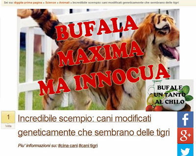 Il cane tigre (e altri fantastici animali) article-post