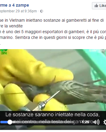 Gamberi “dopati” in Vietnam