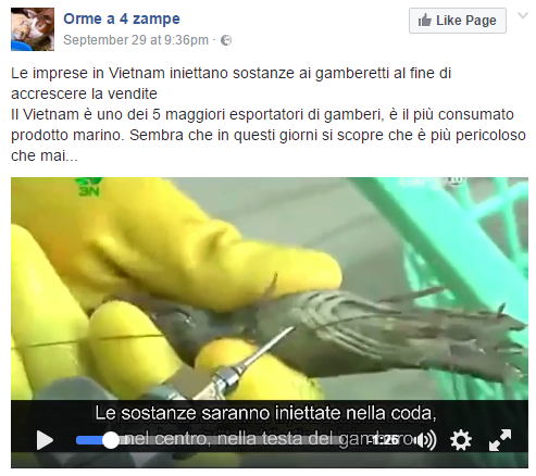 Gamberi “dopati” in Vietnam