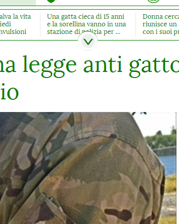 La fatwa contro i gatti