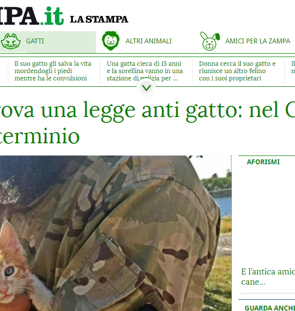La fatwa contro i gatti article-post