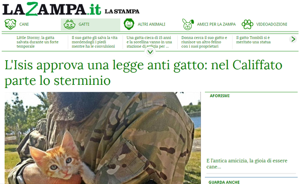 La fatwa contro i gatti
