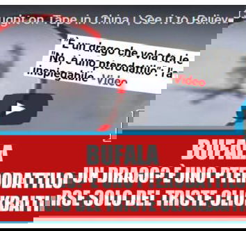 È un drago? Uno pterodattilo? No, è una bufala!