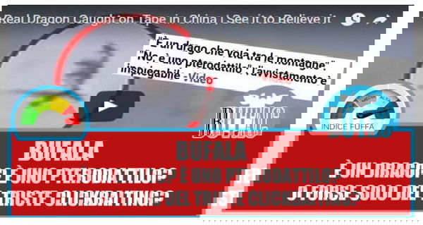 È un drago? Uno pterodattilo? No, è una bufala!