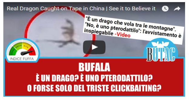 È un drago? Uno pterodattilo? No, è una bufala! article-post