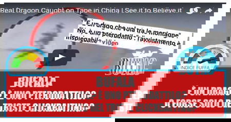 È un drago? Uno pterodattilo? No, è una bufala! article-post