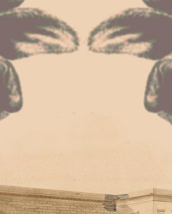 Bufale sulla Leopolda