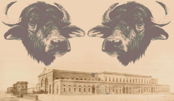 Bufale sulla Leopolda