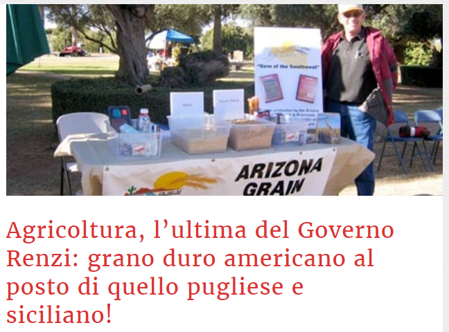 Grano duro americano al posto di quello pugliese e siciliano! article-post