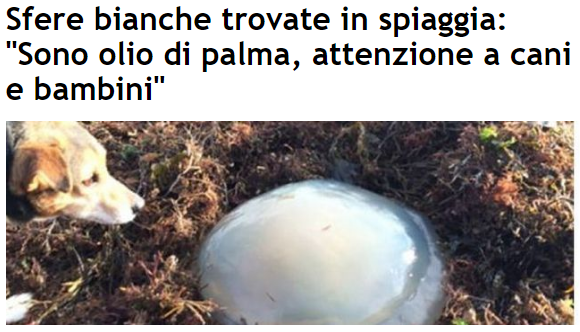 Le sfere di olio di palma