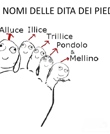 I nomi delle dita dei piedi