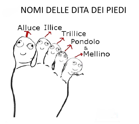 I nomi delle dita dei piedi